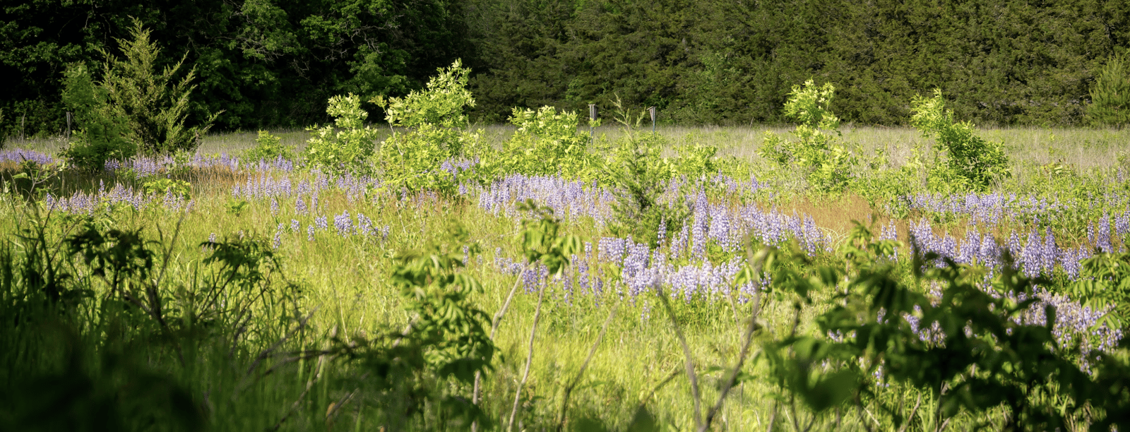 Bend in the River Park